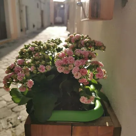 Sweet * Nardò