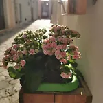 Sweet * Nardò